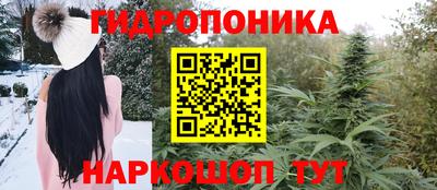 apvp Новозыбков