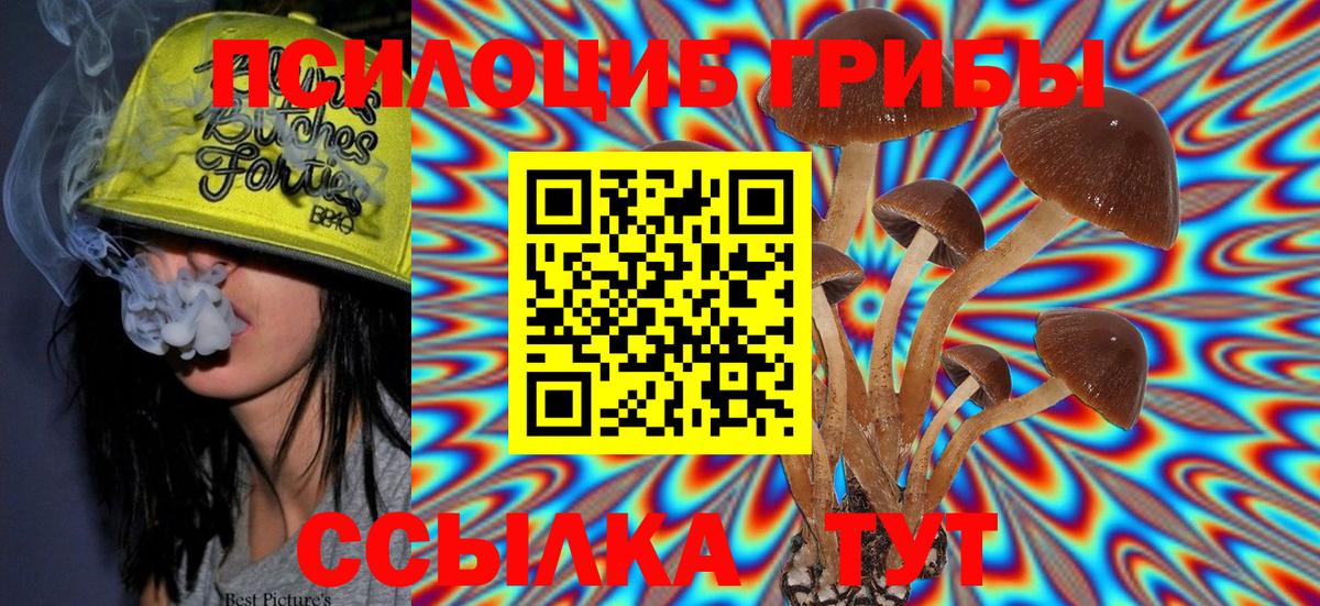 купить закладку  Псилоцибиновые грибы MAGIC MUSHROOMS  Вход с VPN  Сыктывкар 