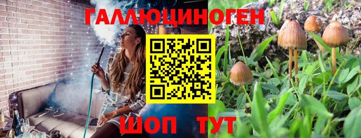 Галлюциногенные грибы Magic Shrooms Сыктывкар