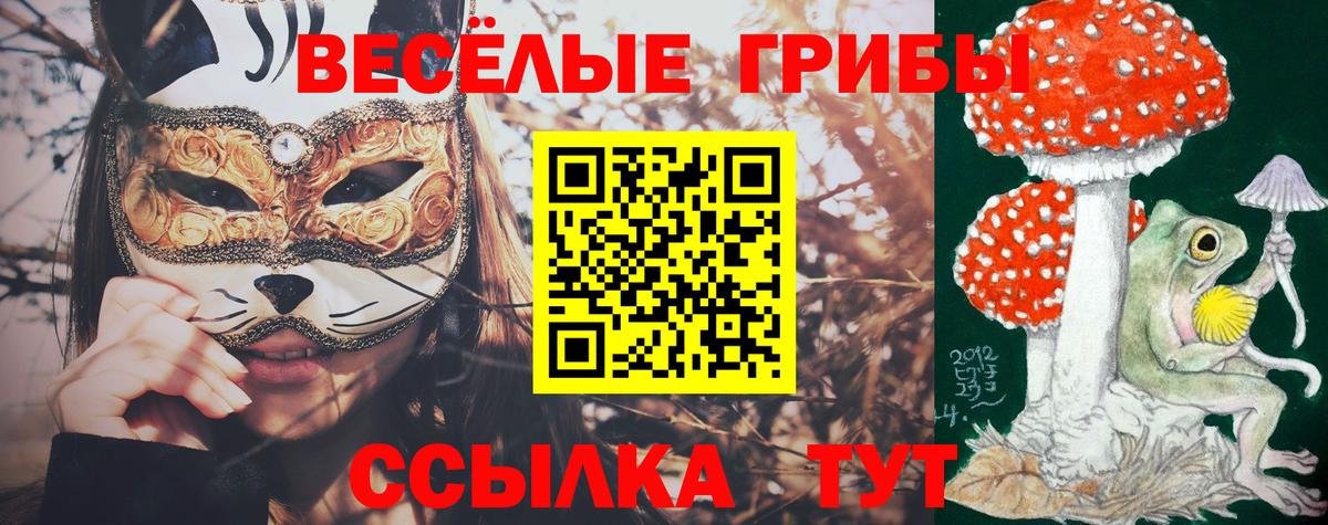 Alpha PVP Сыктывкар