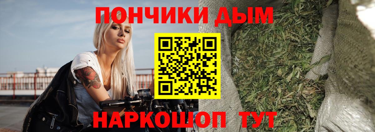 Бошки марихуана MAZAR Сыктывкар